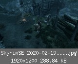 SkyrimSE 2020-02-19 09-06-07-71.jpg