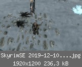 SkyrimSE 2019-12-10 20-07-17-47.jpg