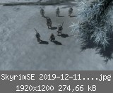 SkyrimSE 2019-12-11 20-14-55-18.jpg