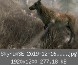 SkyrimSE 2019-12-16 22-48-51-64.jpg