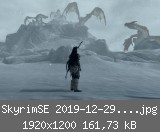 SkyrimSE 2019-12-29 02-10-29-96.jpg