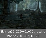 SkyrimSE 2020-01-05 07-51-46-68.jpg