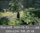 SkyrimSE 2020-01-11 21-24-02-17.jpg