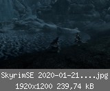 SkyrimSE 2020-01-21 22-29-44-75.jpg