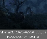 SkyrimSE 2020-02-20 22-56-51-01.jpg