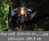 SkyrimSE 2020-02-20 22-15-47-23.jpg